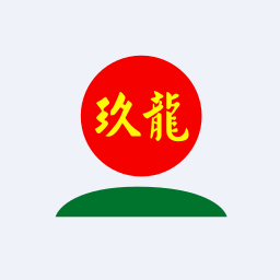 Nine Dragons Paper Holdings Logo
