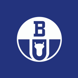 Boryszew Logo