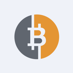 Bitcoin Group SE Logo