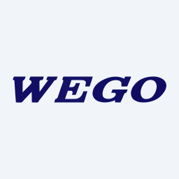 Shandong Weigao Group Medical Polymer Logo