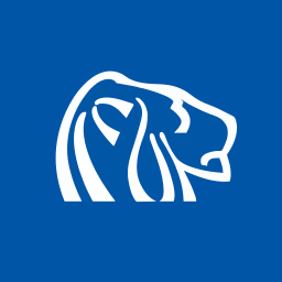 Northern Dynasty Minerals Logo