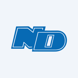 Nihon Dengi Co Logo