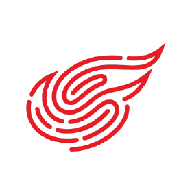 Netease Logo